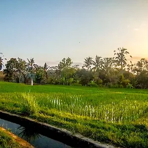Paradise Ubud